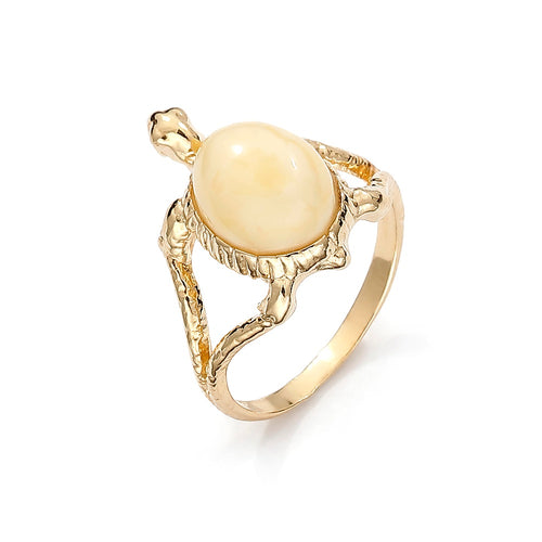 The Turtle Ring GP